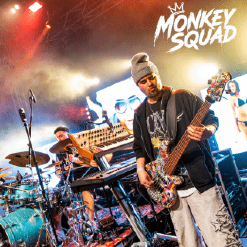Coverband MONKEY SQUAD boeken - Website fotos 10