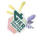 Vierdaagsefeesten Nijmegen | ONLY BANDS, de beste coverbands voor jouw tentfeest, festival of bedrijfsfeest